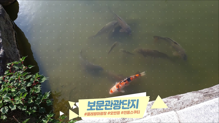 호반정스쿠터 이미지