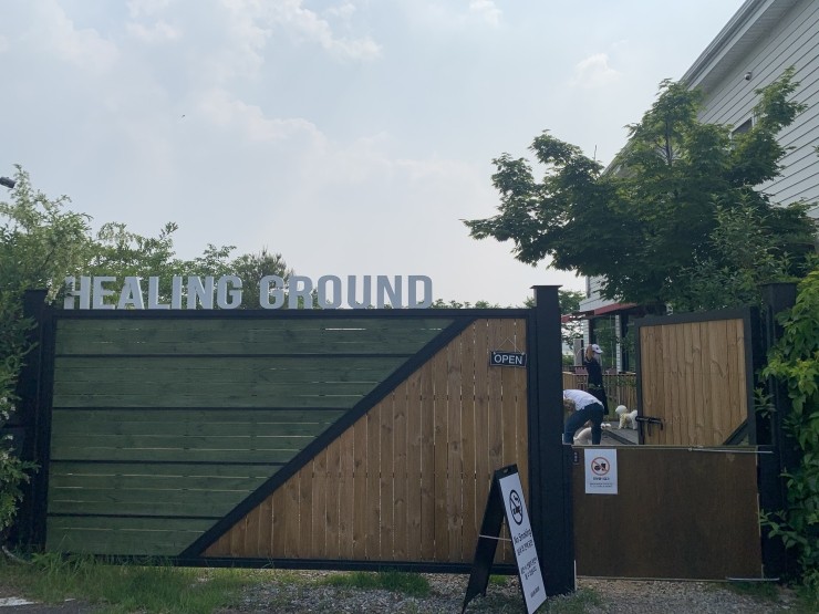 카페힐링(cafe healing) 이미지