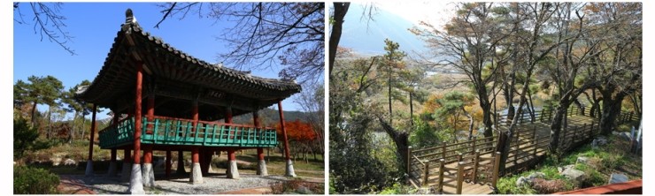 강변사리 이미지