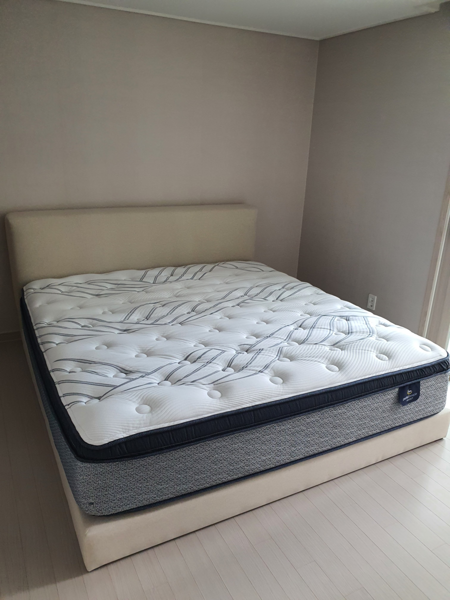 대성수입 이미지