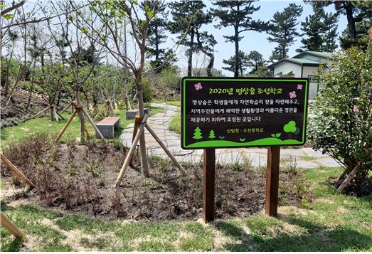 조천중학교 이미지