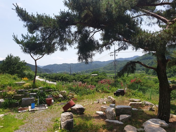 왕소나무막국수 이미지