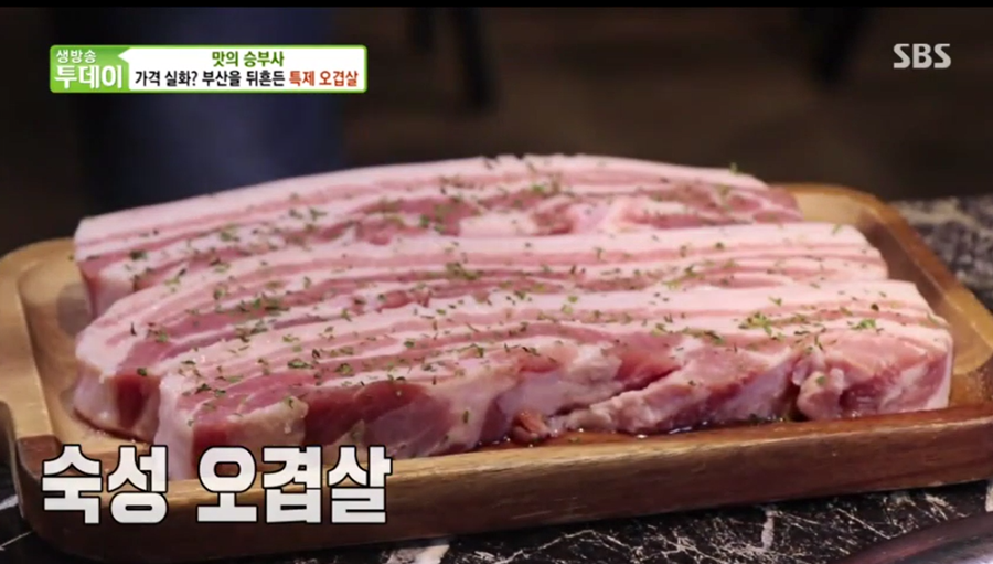 거북이동네 이미지