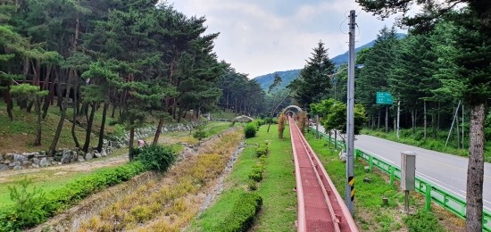 솔향공원 스카이바이크 시설 이미지