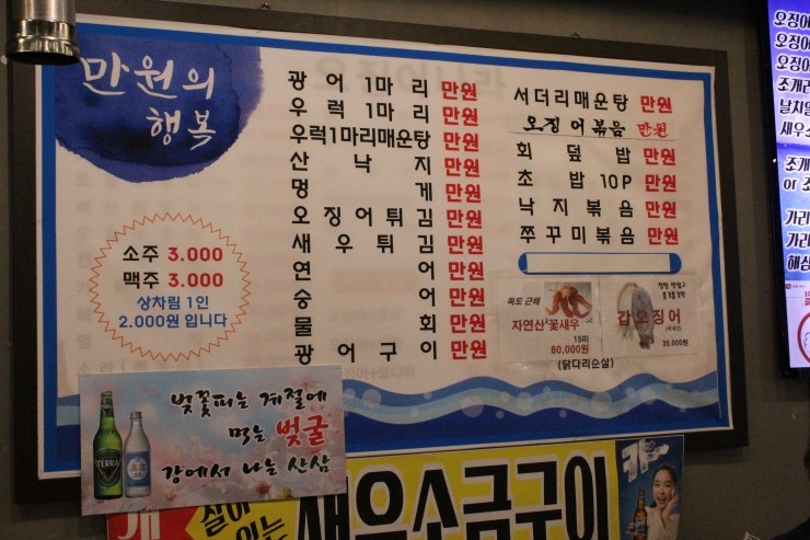 오징어나라 이미지