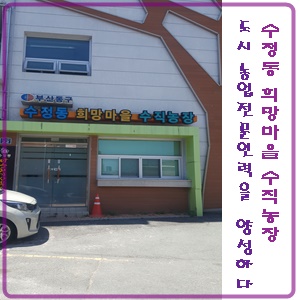 부산도시농업전문가협회 이미지
