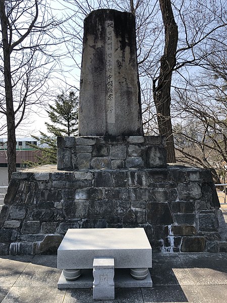 마리누스 이미지