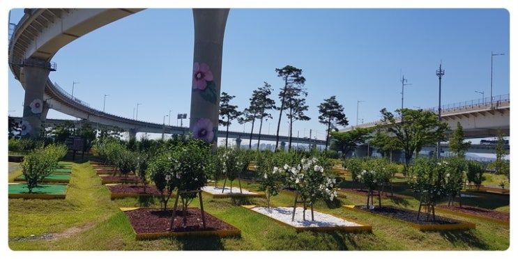 무궁화대교 이미지