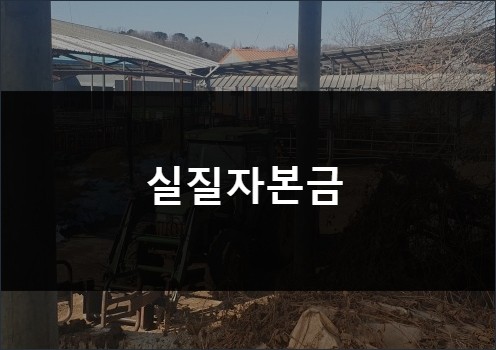 디에이치컨설턴트 이미지