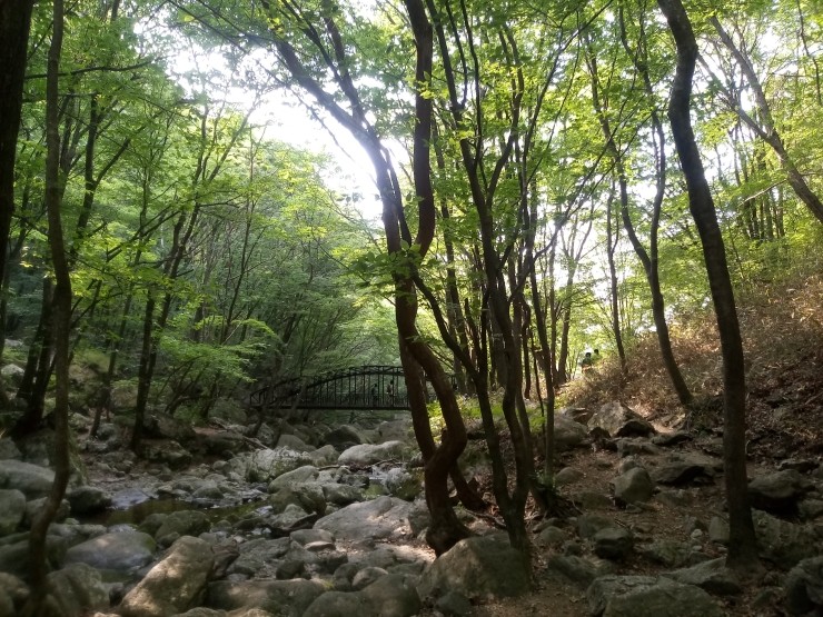 세명여행사 이미지