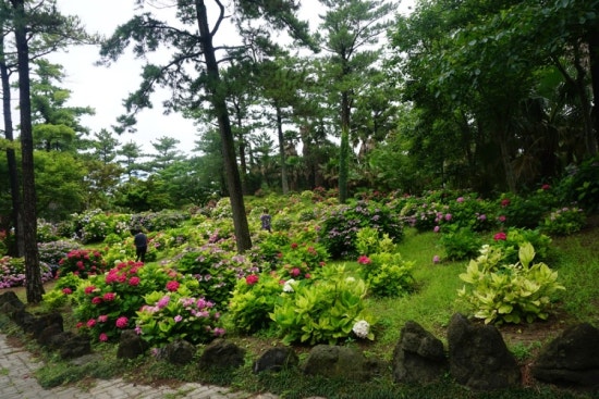 한림PC 이미지