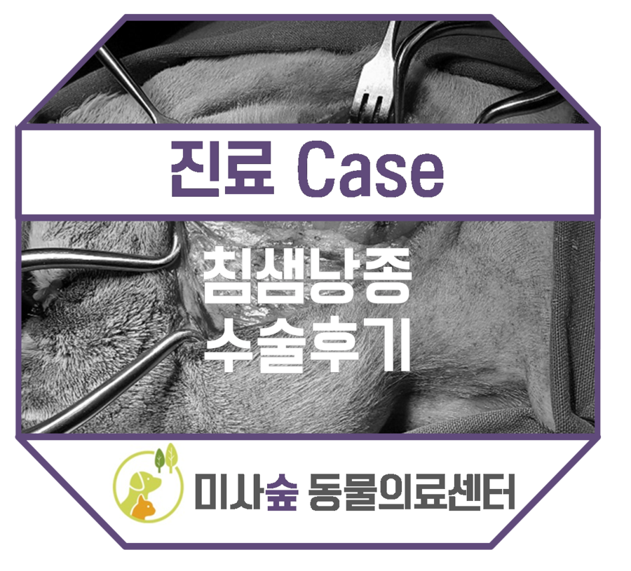 침샘낭종 수술후기 [외과 전문 미사숲동물의료센터 / 미사동물병원 / 하남동물병원] : 네이버 블로그