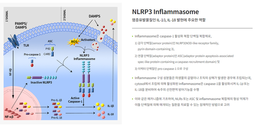 가항국제 이미지