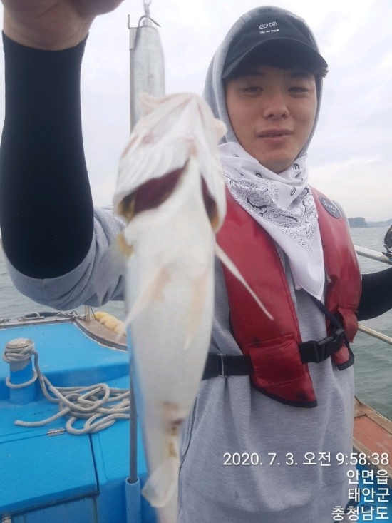 호포호 이미지