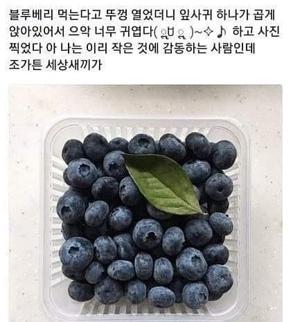 재미나 이미지