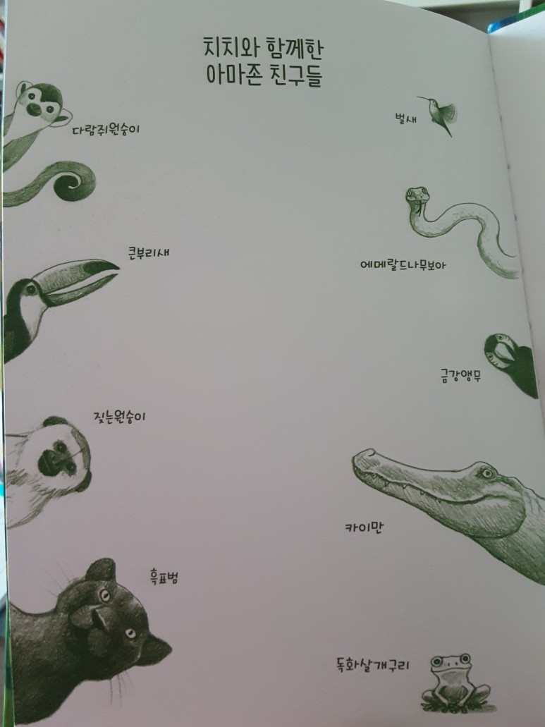 아마존에가면치치와함께한동물.jpg