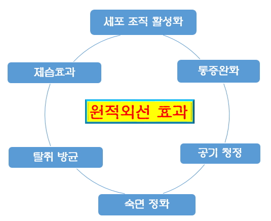 (주)월드라온 이미지
