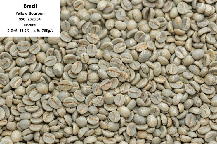 [미샤앤퍼프] COLA FLORA TIERRA 실비아 티 K3234S26-0B4