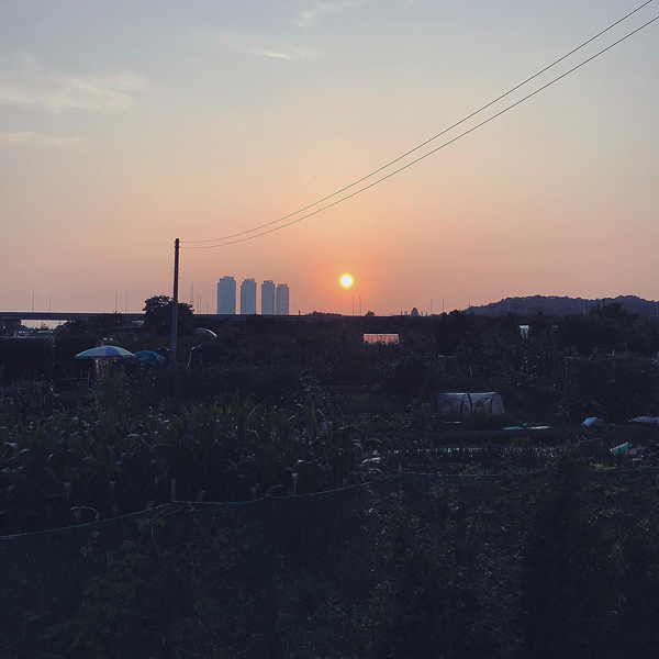 대신자전거 이미지