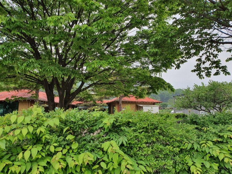 (주)다인돌봄 이미지