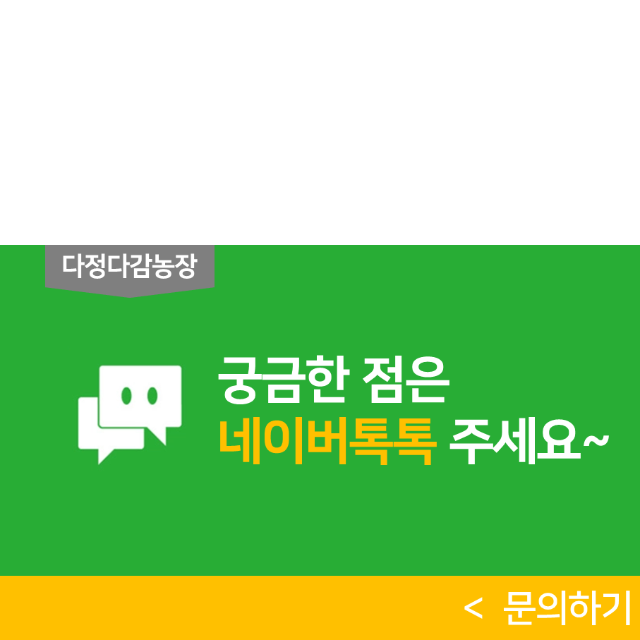 익스트림영동점 이미지