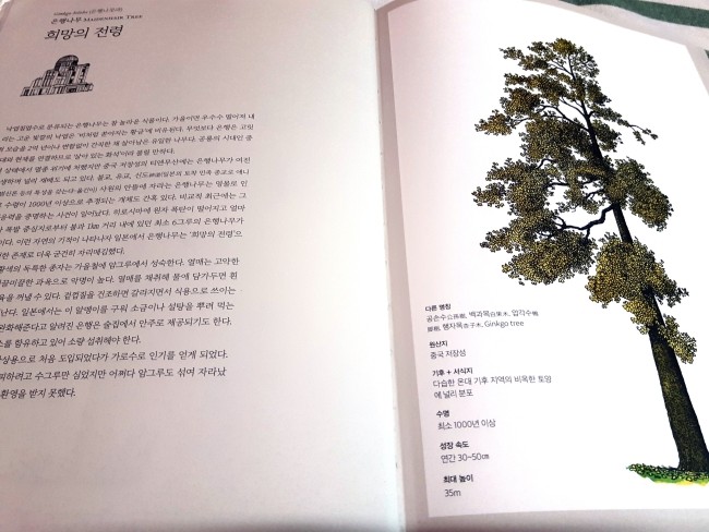 와티에자 이미지