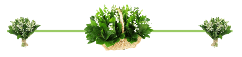 줄.2015-10.png