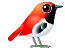 1.1-21.gif