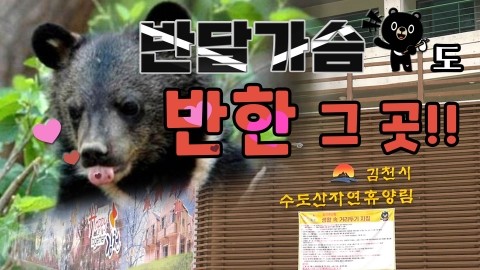 수도산자연휴양림 이미지
