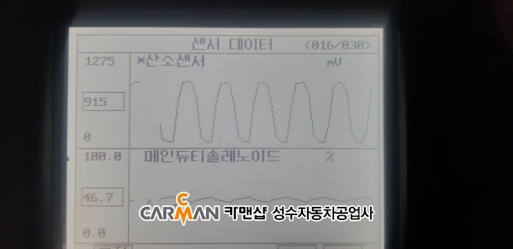 수리브라운 이미지