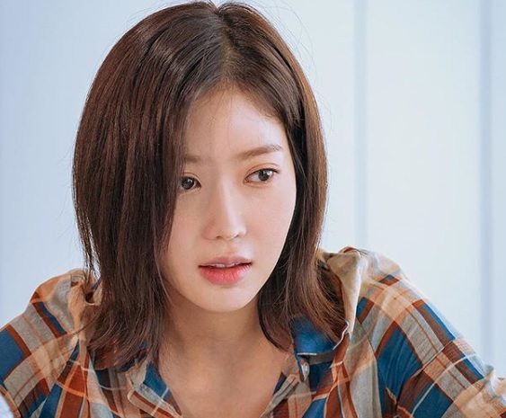 참빗 이미지