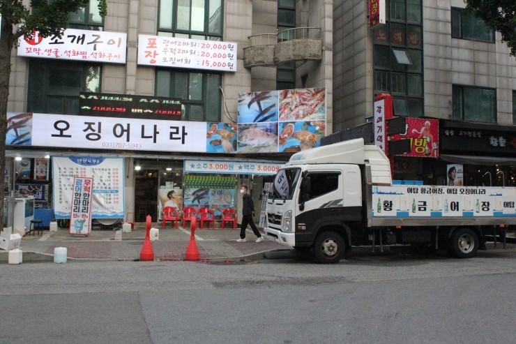 오징어나라 이미지
