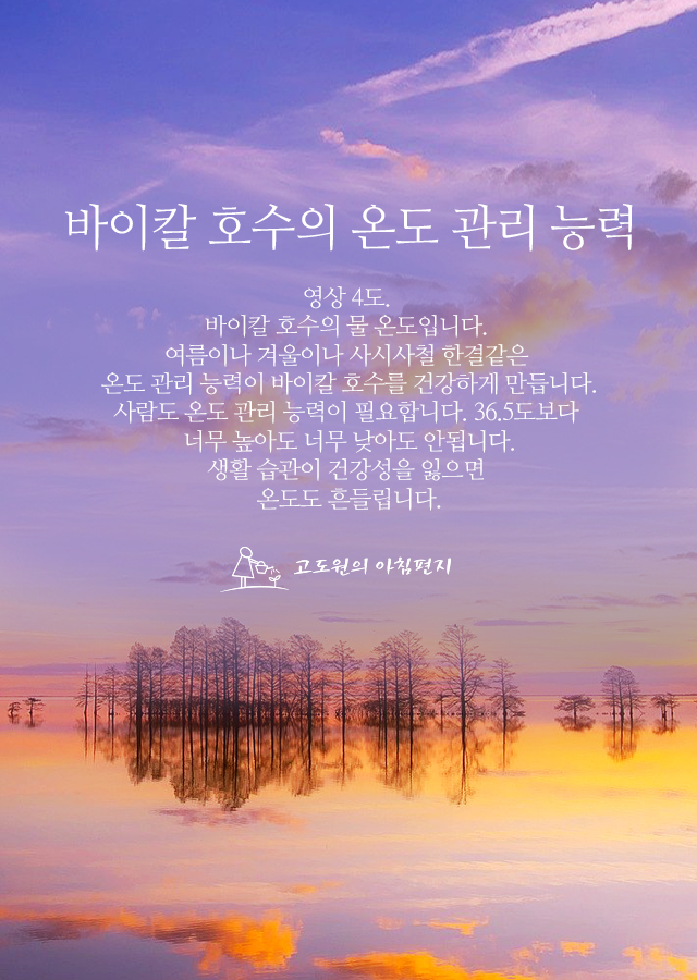 바이칼의아침 이미지