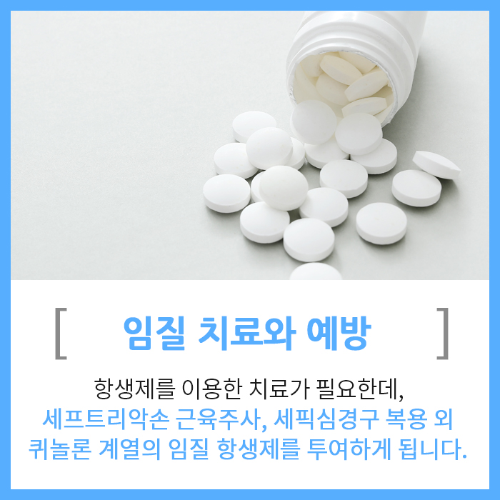 남자 임질 원인과 예방을 위한 방법은? : 네이버 블로그