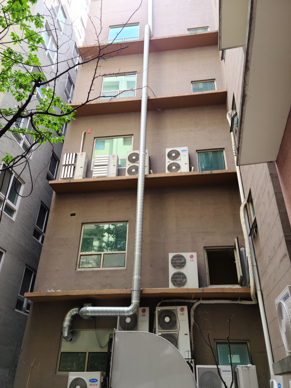 정글비 이미지