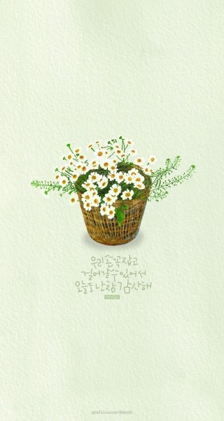 마트리카리아 이미지