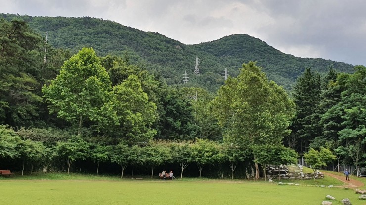 대구숲체험협동조합 이미지