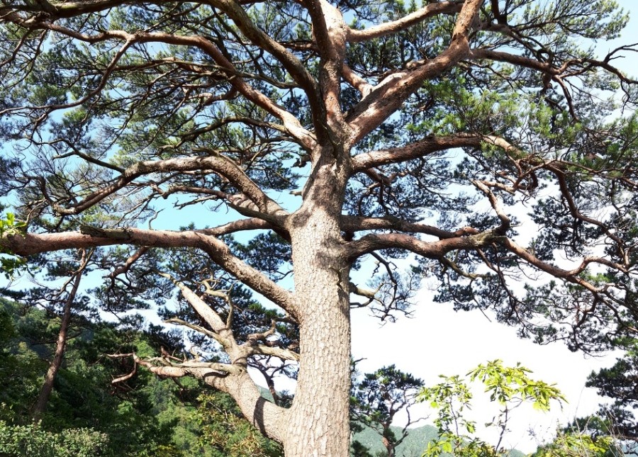 점봉산민박 이미지