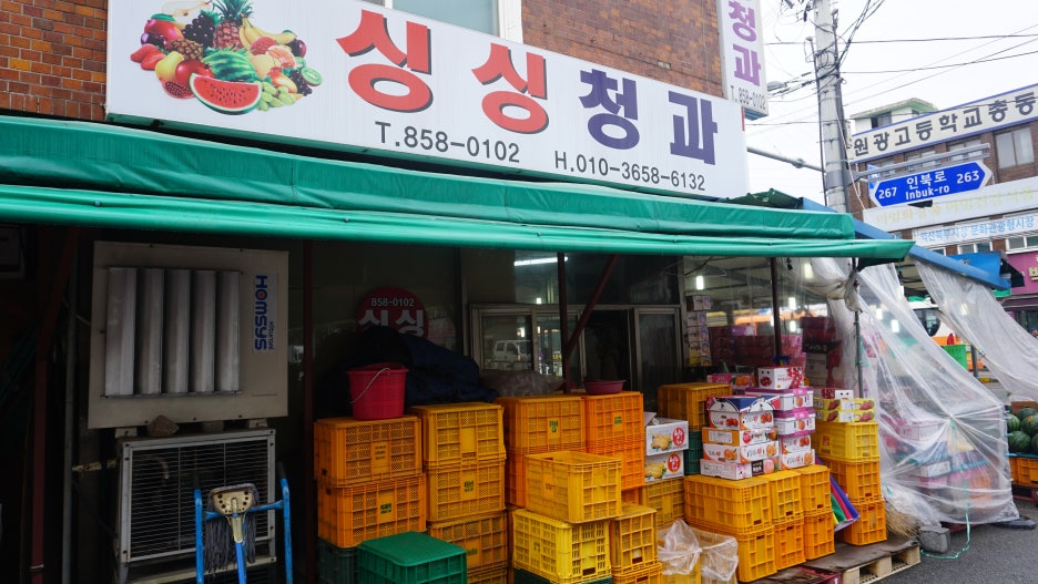 싱싱청과 이미지