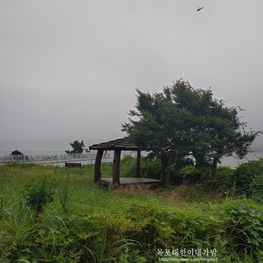 고바우샵 이미지