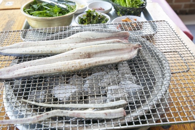 민물장어 이미지