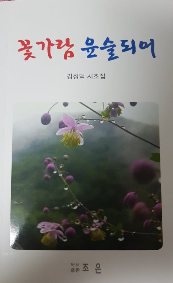 윤술 이미지