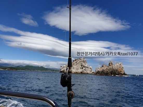 피싱킹 이미지