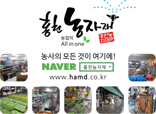 왕대박유통 이미지