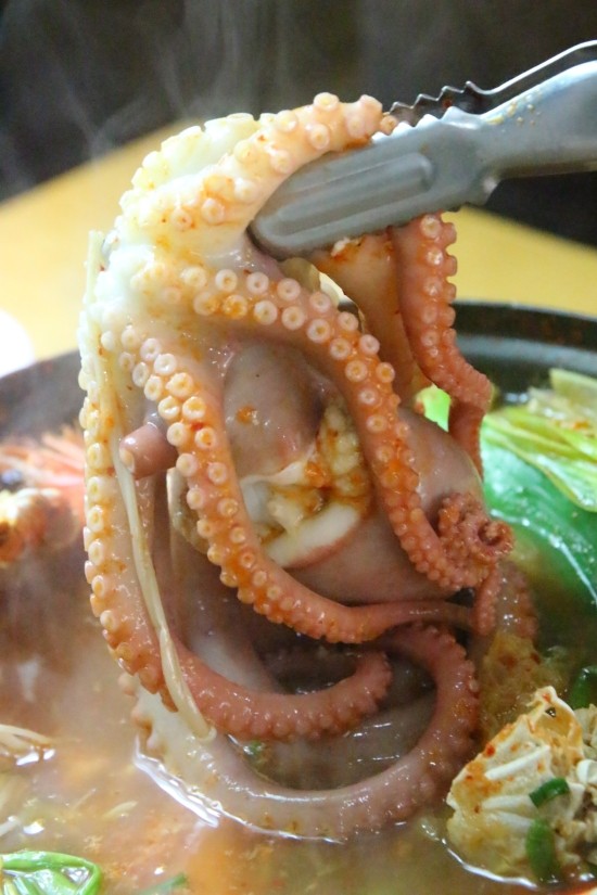 우와한낙지 이미지