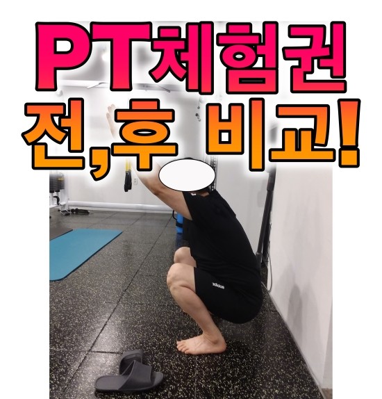 더조은피티 이미지