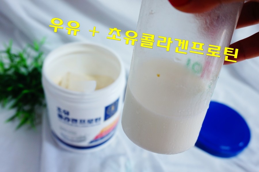 프로틴더하다 이미지