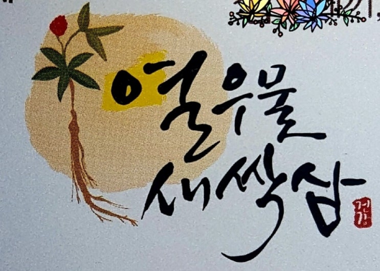 열우물새싹인삼 이미지
