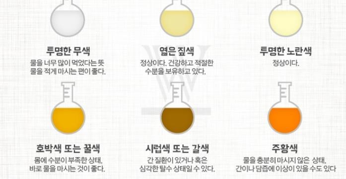 신호휘트니스 이미지