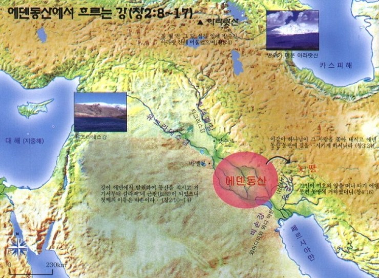 하윌라(Havilah) 이미지
